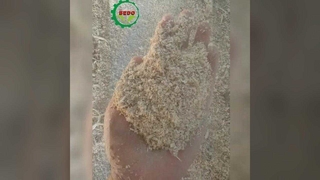 Sichere Sägemehlmaschine mit Überlastschutz und Not-Aus